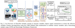 Hybrid Attention Model Using Feature Decomposition and Knowledge Distillation for Blood Glucose Forecasting