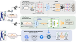 Self-Supervised Learning and Opportunistic Inference for Continuous Monitoring of Freezing of Gait in Parkinson’s Disease