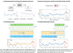 A large sensor foundation model pretrained on continuous glucose monitor data for diabetes management